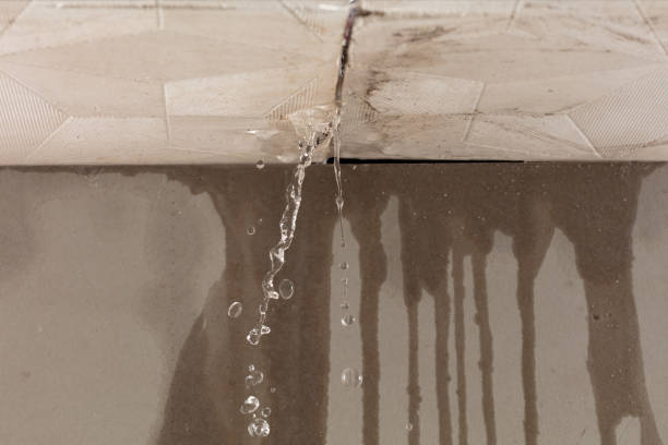 Professional Burst Pipe Cleanup technician working in Covington, TN